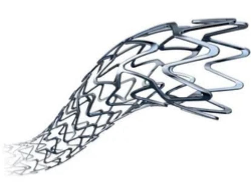 Everolimus Eluting Coronary Stent